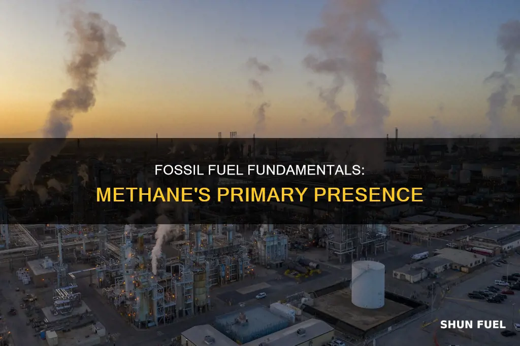which of these fossil fuels is composed primarily of methane