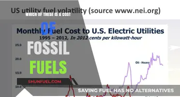 Fossil Fuels' Hidden Costs: Environmental, Economic, and Health Impacts