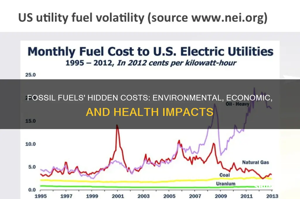 which of these is a cost of fossil fuels