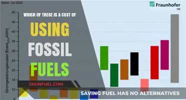 The Hidden Costs of Fossil Fuels: Environmental and Economic Impacts