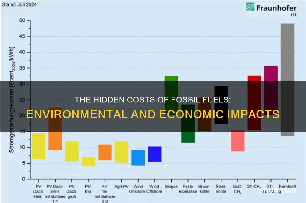 which of these is a cost of using fossil fuels