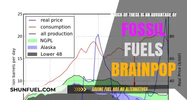 Fossil Fuels' Energy Density: A Key Advantage Explained Simply