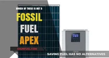 Identifying the Non-Fossil Fuel Among Coal, Oil, and Solar Apex