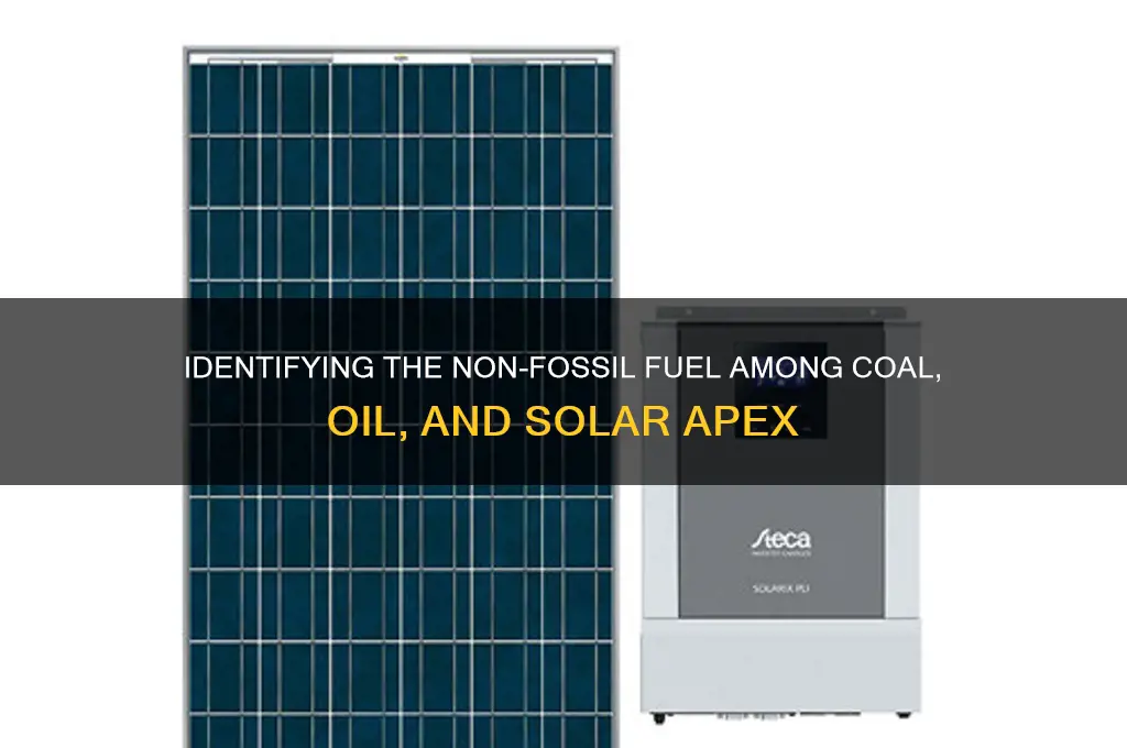 which of these is not a fossil fuel apex