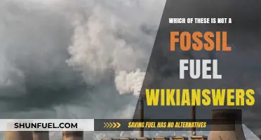 Identifying Non-Fossil Fuels: Unraveling the WikiAnswers Mystery