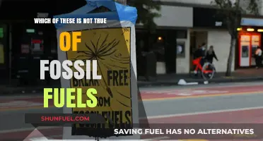 Debunking Fossil Fuel Myths: Which Claim Doesn't Hold Up?