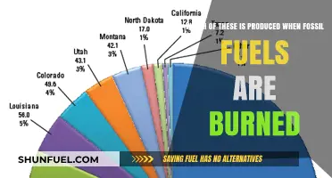 Burning Fossil Fuels: Unveiling the Harmful Emissions Released into the Air