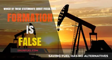 Debunking Fossil Fuel Formation Myths: Which Statement is False?