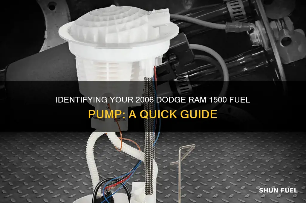 which one is my fuel pump 2006 dodge ram 1500