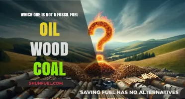Wood vs. Fossil Fuels: Which One Doesn't Belong?