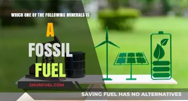 Fossil Fuel Mystery: Identifying the Mineral Among the Options