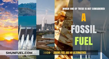 Which Energy Source Isn't a Fossil Fuel: Unraveling the Mystery