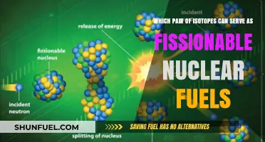 Fissionable Nuclear Fuels: Exploring Isotope Pairs for Energy Generation