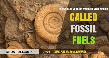 Earth's Fossil Fuels: Dead Organic Matter Trapped in Crust