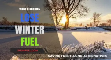 Who Misses Out? Winter Fuel Payment Eligibility for Pensioners Explained