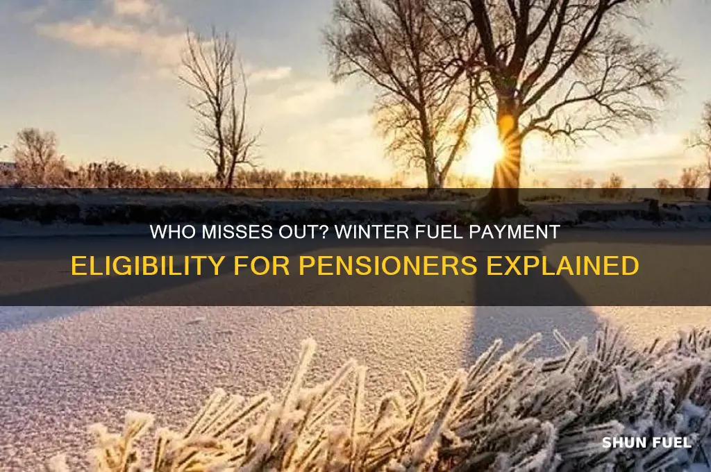which pensioners lose winter fuel