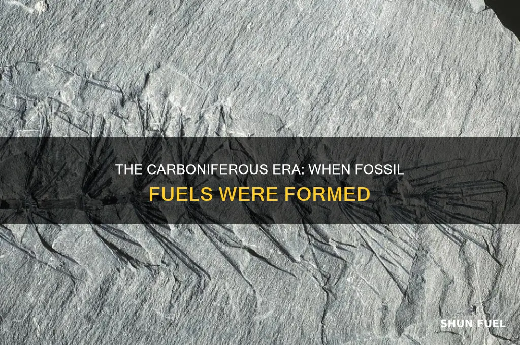 which period were fossil fuels formed in