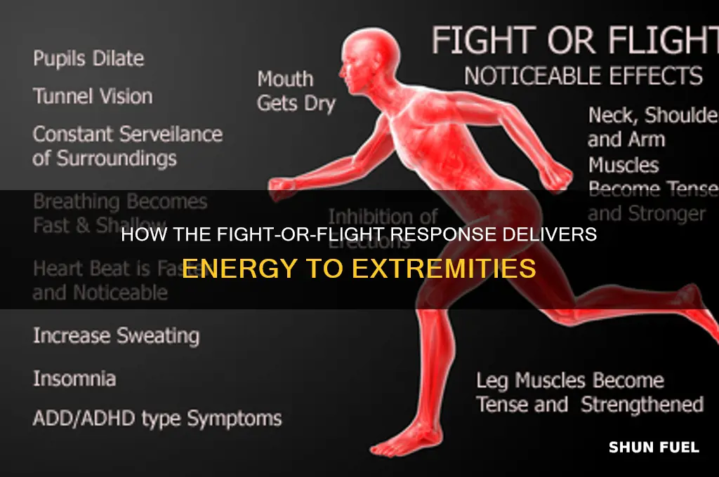 which physiological reaction to helps to pump fuel to extremities