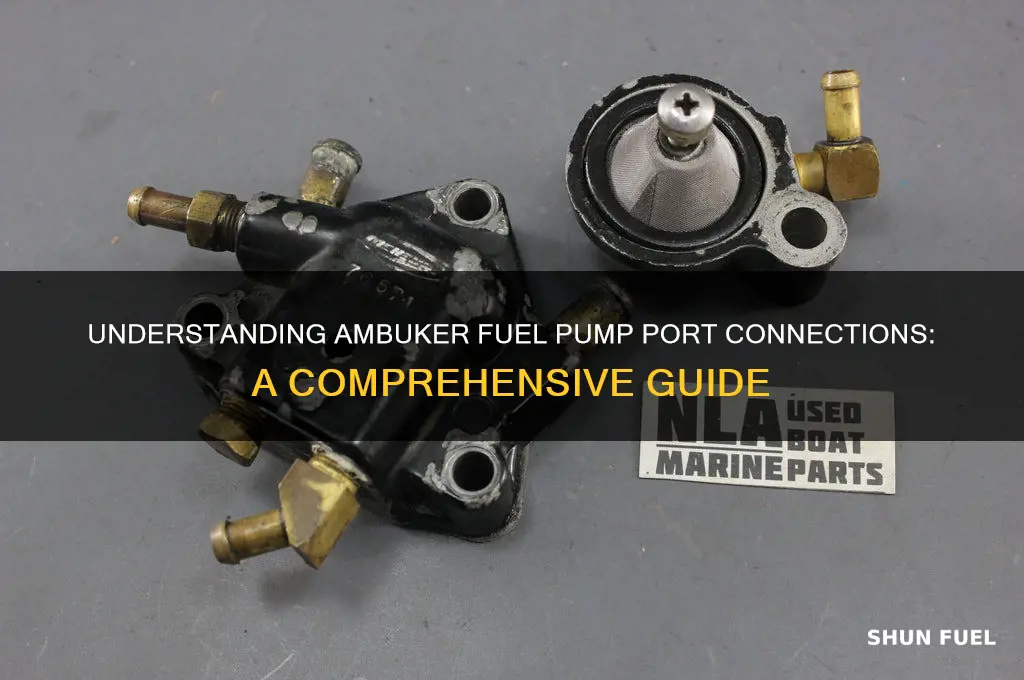 which ports on an ambuker fuel pump go to where