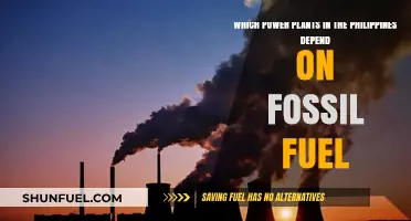 Fossil Fuel-Dependent Power Plants in the Philippines: A Comprehensive List