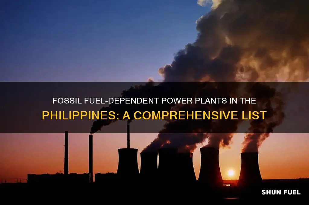 which power plants in the philippines depend on fossil fuel
