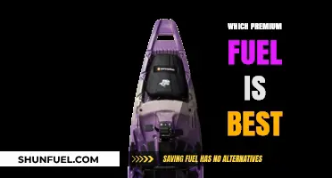 Premium Fuel Showdown: Top Gasoline Options for Optimal Engine Performance