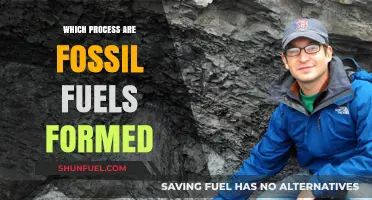 How Fossil Fuels Are Formed: The Ancient Process Explained