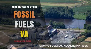Discovering Fossil Fuel Reserves in Virginia: A Provincial Overview