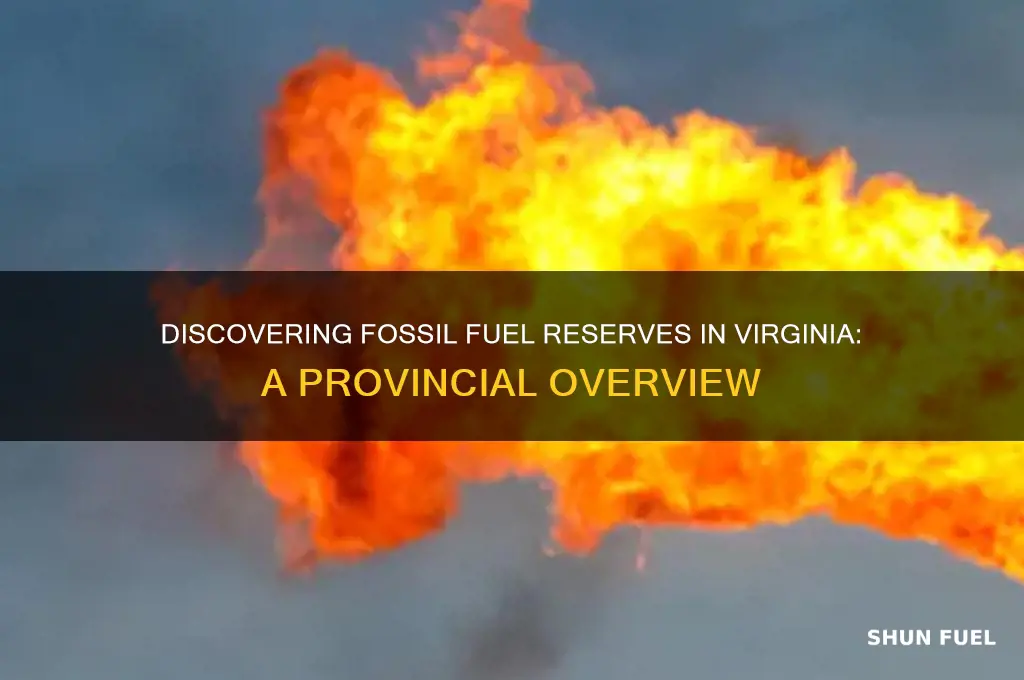 which province do we find fossil fuels va