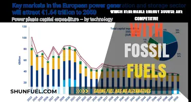 Renewable Energy Sources Now Rivaling Fossil Fuels in Cost and Efficiency