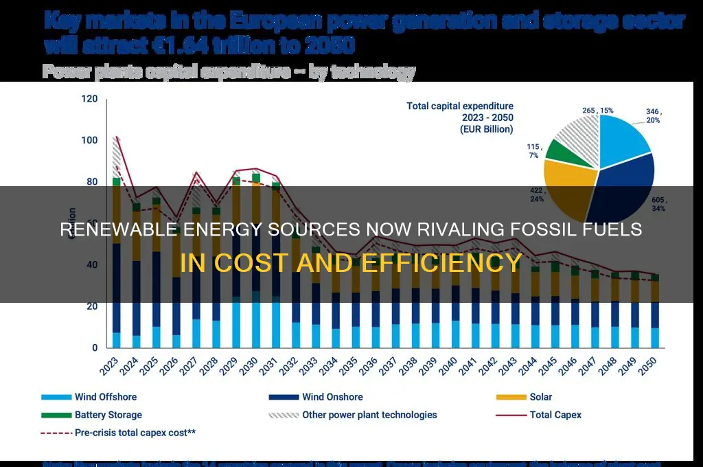 which renewable energy source are competitive with fossil fuels
