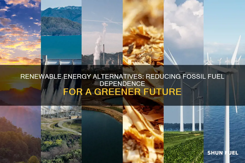 which renewable energy sources save fossil fuels