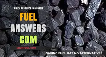 Understanding Fossil Fuels: Which Resource Qualifies as a Fossil Fuel?