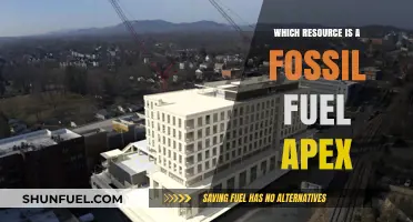 Fossil Fuel Apex: Identifying the Dominant Energy Resource