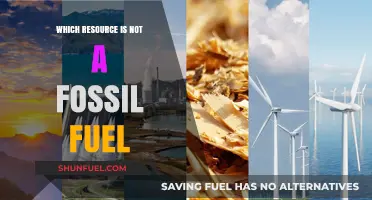 Fossil-Free Future: Alternative Energy Sources