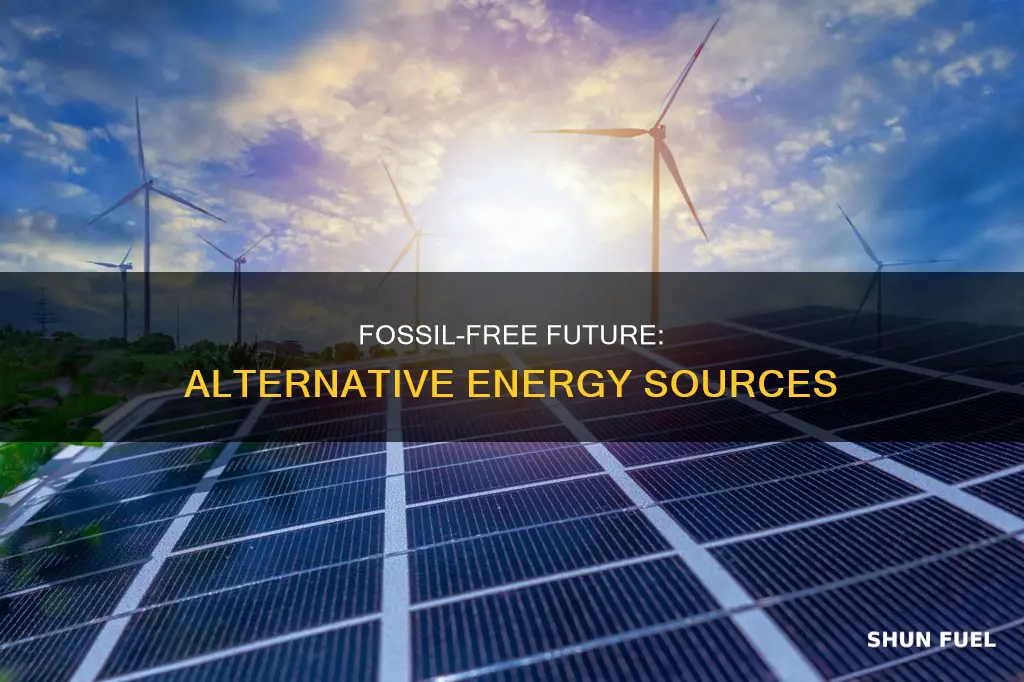which resource is not a fossil fuel
