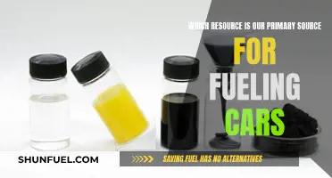 The Fuel That Powers Our Cars: A Resource Overview