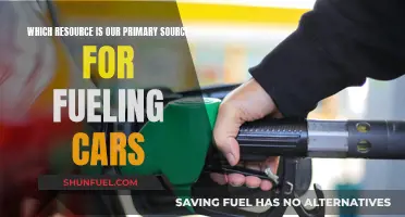 The Power of Petroleum: Fueling Our Cars' Primary Energy Source
