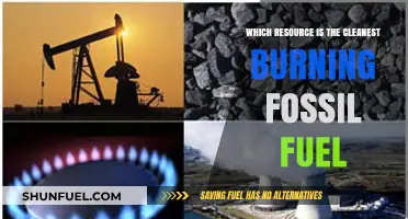 Cleanest Burning Fossil Fuel: Unveiling the Eco-Friendly Energy Source