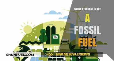 Renewable Energy Alternatives: Identifying Non-Fossil Fuel Resources