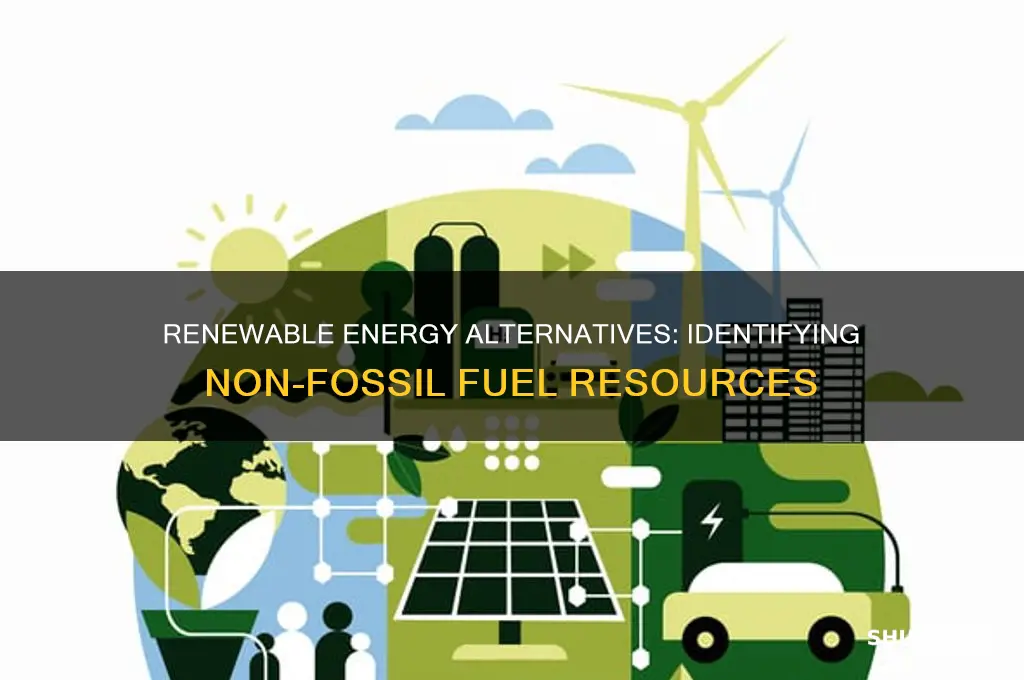 which resourse is not a fossil fuel