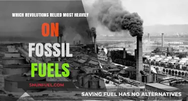 Fossil Fuels: The Hidden Engine Behind Major Global Revolutions