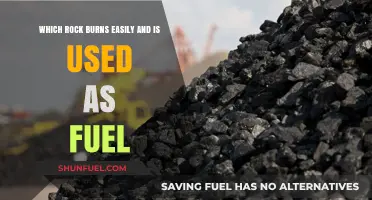 Lignite: The Highly Flammable Rock Fuel Powering Industries Worldwide