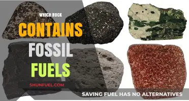 Fossil Fuels: Uncovering the Rock Types That Hold Energy Reserves