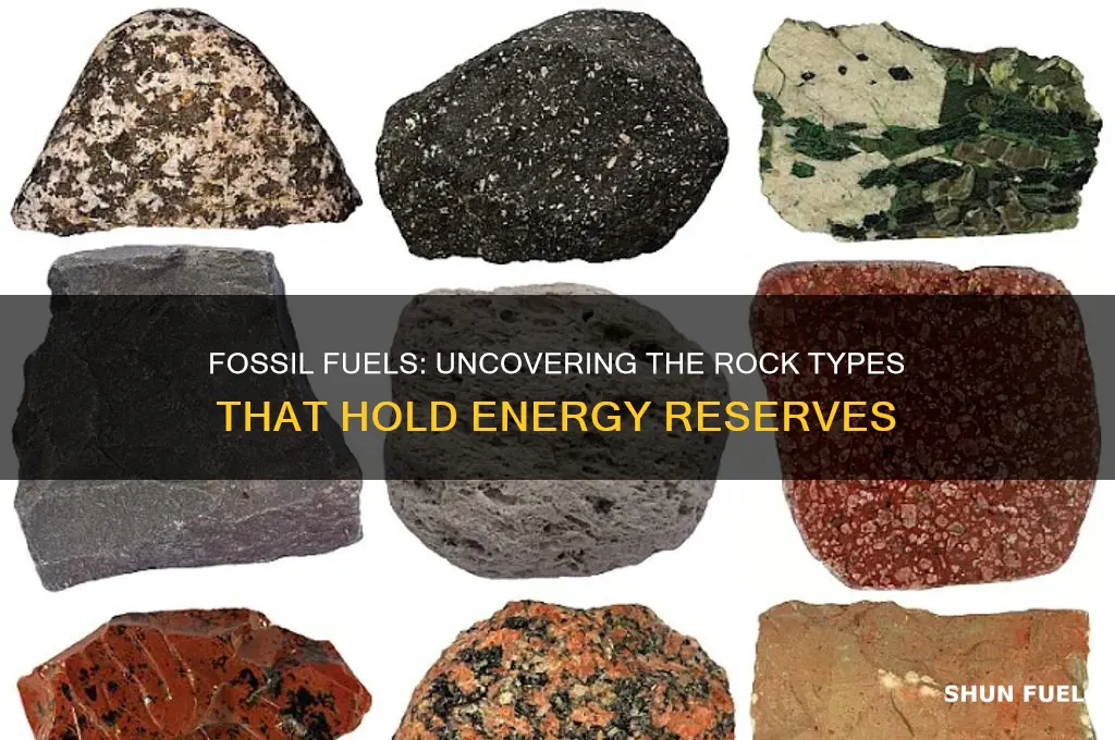 which rock contains fossil fuels