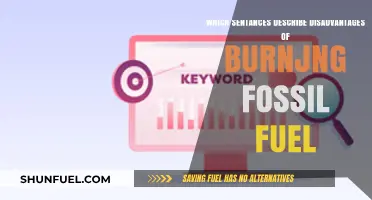 Burning Fossil Fuels: Exploring the Environmental and Health Downsides