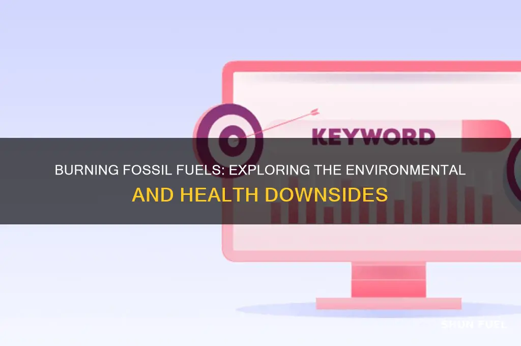 which sentances describe disadvantages of burnjng fossil fuel
