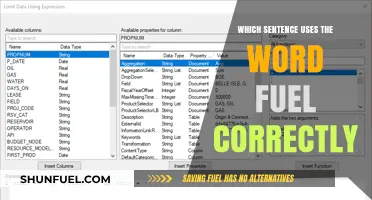 Correct Fuel Usage: Identifying the Right Sentence Structure and Context
