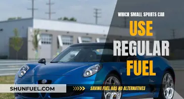 Small Sports Cars: Regular Fuel, Big Fun