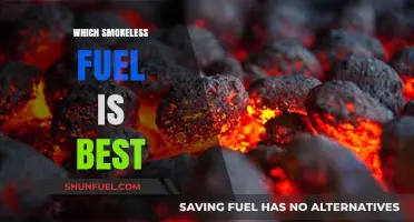 Top Smokeless Fuel Options: Eco-Friendly, Efficient, and Cost-Effective Choices